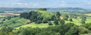 Weekly What’s on: Mon 8th June