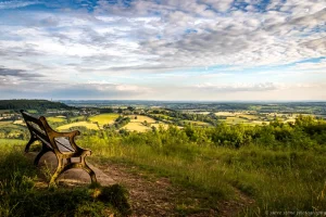 Weekly What’s on: Mon 11th May